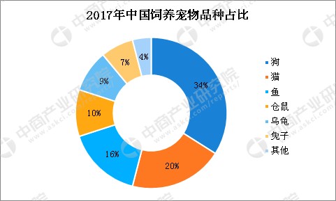 长沙市每户限养两只普通狗 我们国家宠物产业的发展现状如何？